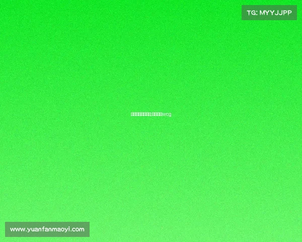 电子竞技挥舞国旗;电子竞技wcg 电子竞技挥舞国旗;电子竞技wcg